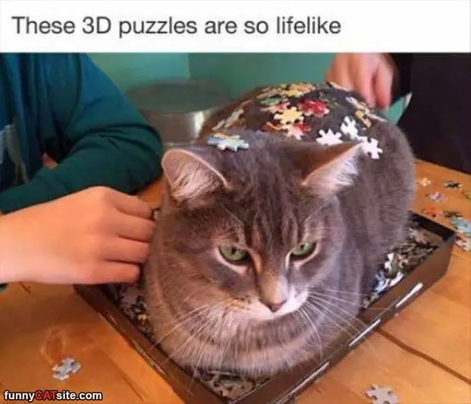 3d Puzzles