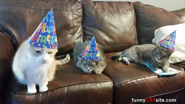 Its A Birthday Party