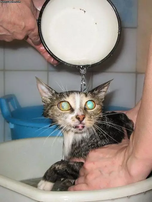 Fun Bath