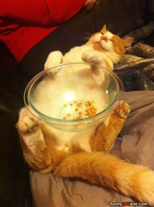 I Will Hold That
