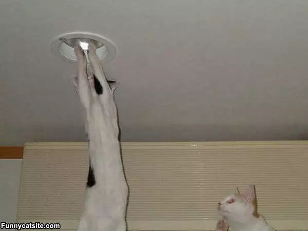 Changing Light Bulbs