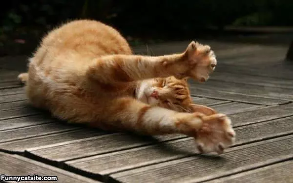 The Big Stretch