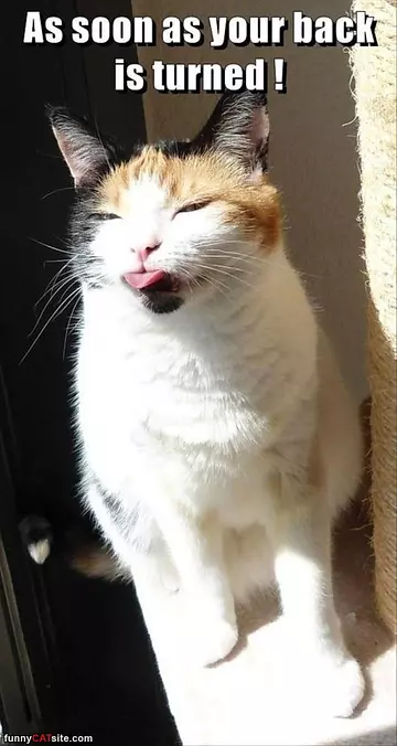 As Soon As Your Back Is Turn