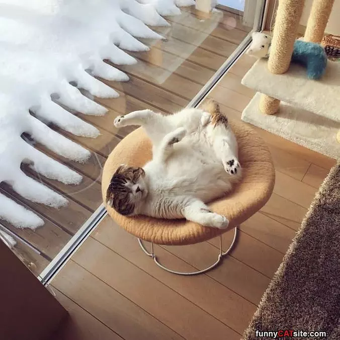 Relaxed As Can Be