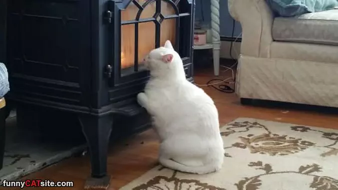 Warmest Spot