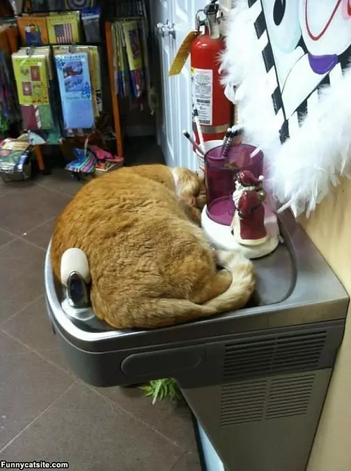 No Water For You