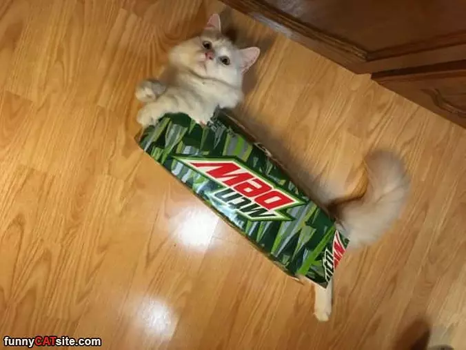 Human I Needs Help