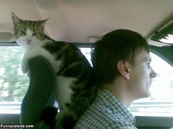 Doing For A Ride