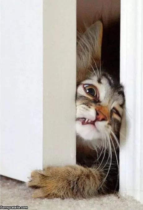 Let Me In There