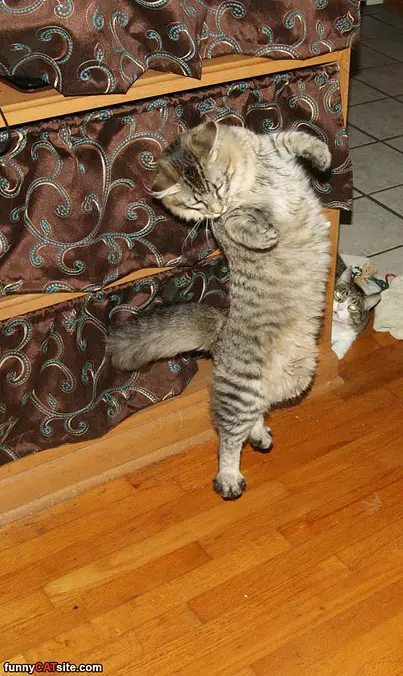 Watching Him Dance