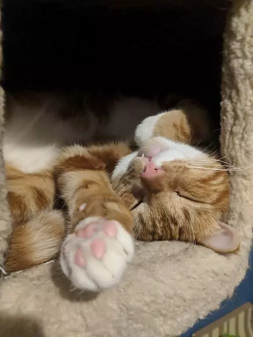So Asleep