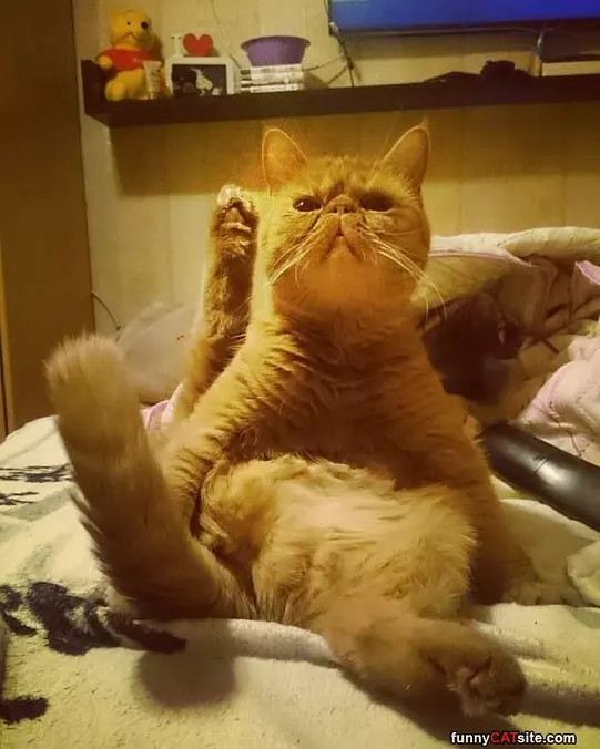 Do You Need Something