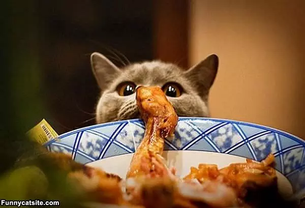 I Wants  A Snack