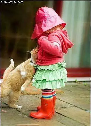 Loving Cat