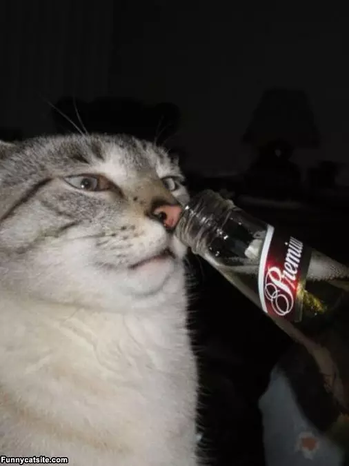 This Beer Smells