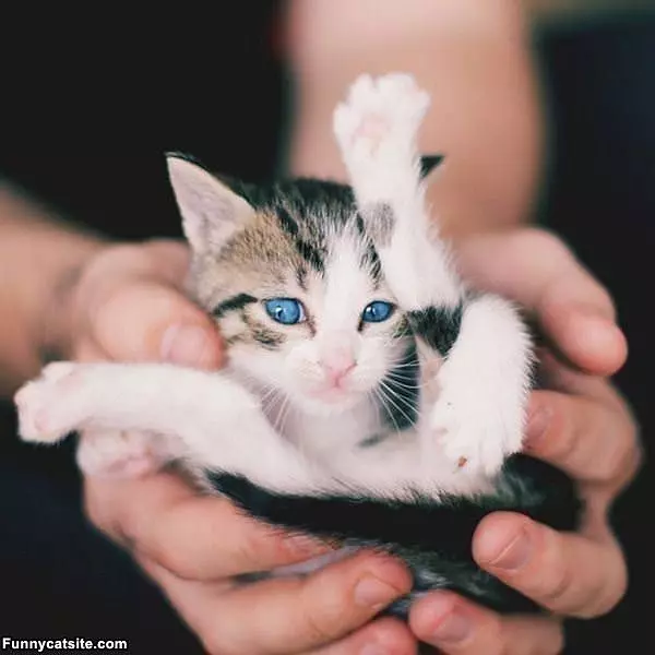 Look At My Feets