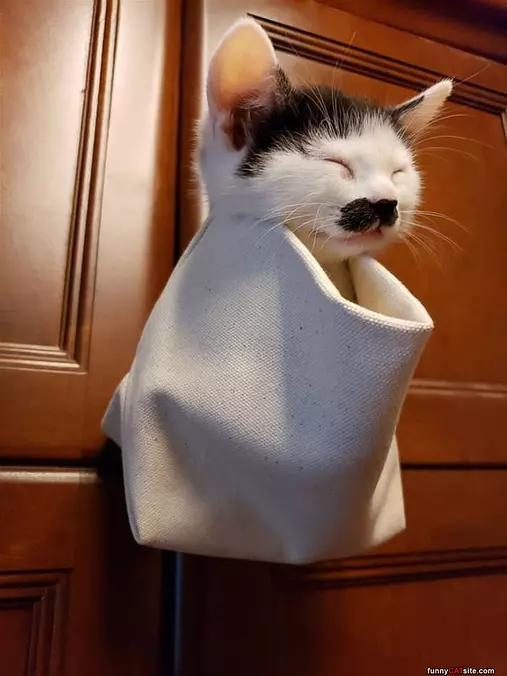 A Nice Place For A Nap
