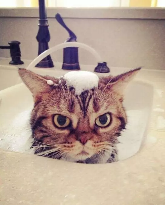 This Is My Bath Time