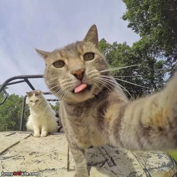 Taking A Selfie Time