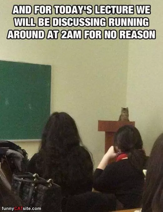 Todays Lecture