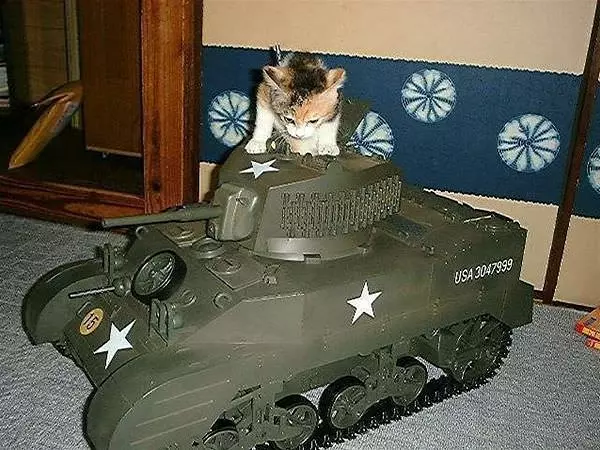 My Tank
