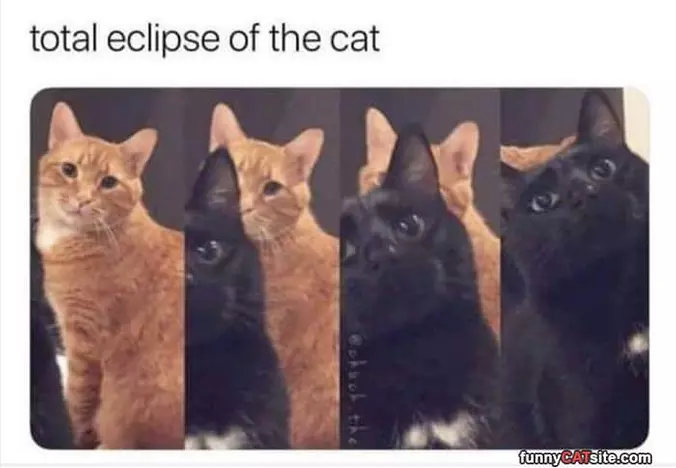 Total Eclipse