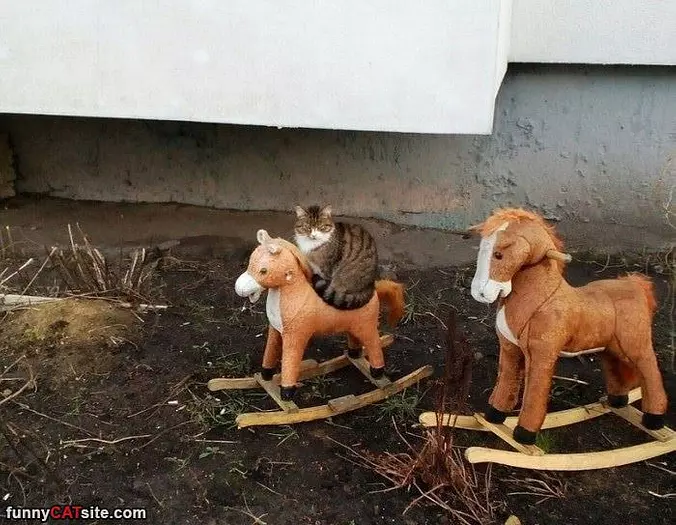 Riding The Horse