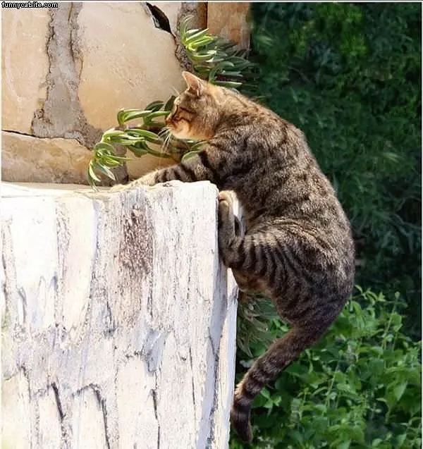 Climbing