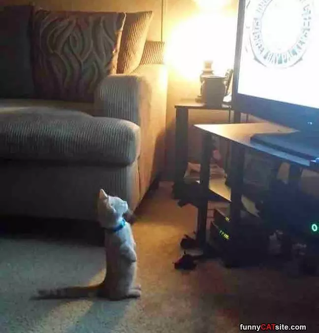 Watching Some Tv