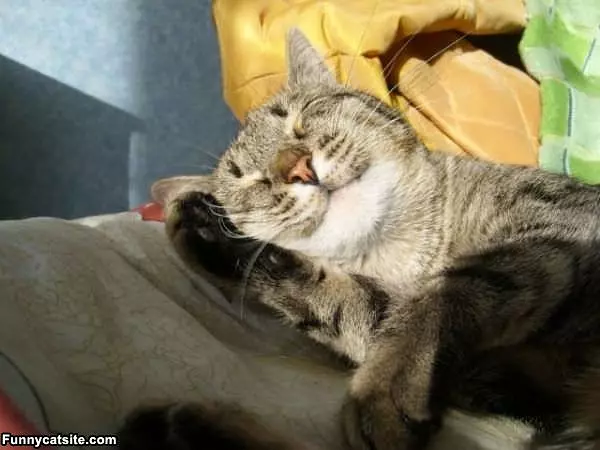 Im Taking Nap Time