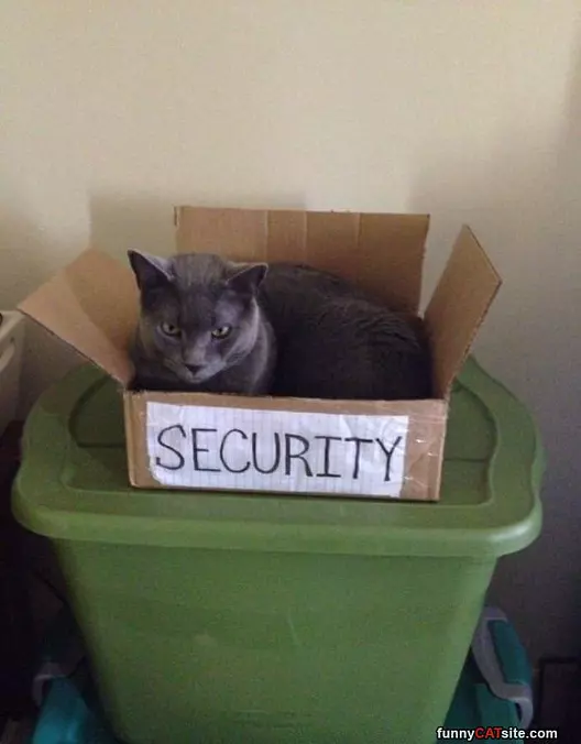 Security Cat