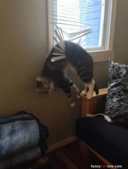 I Iz Stuck