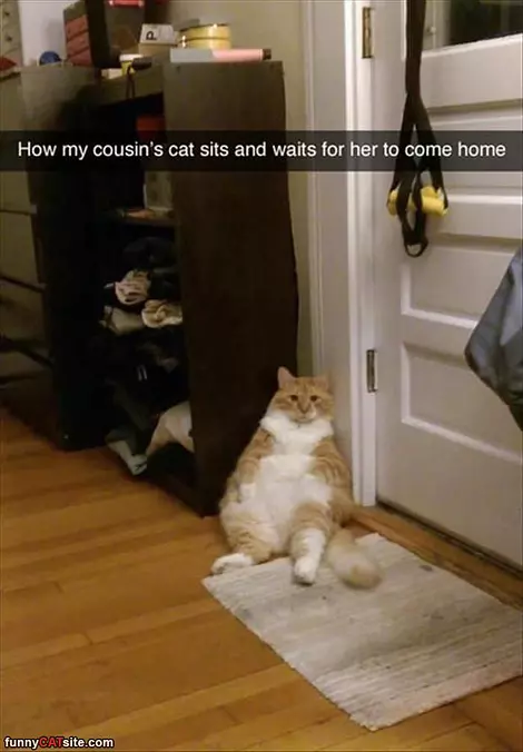 Waiting For Her To Come Home