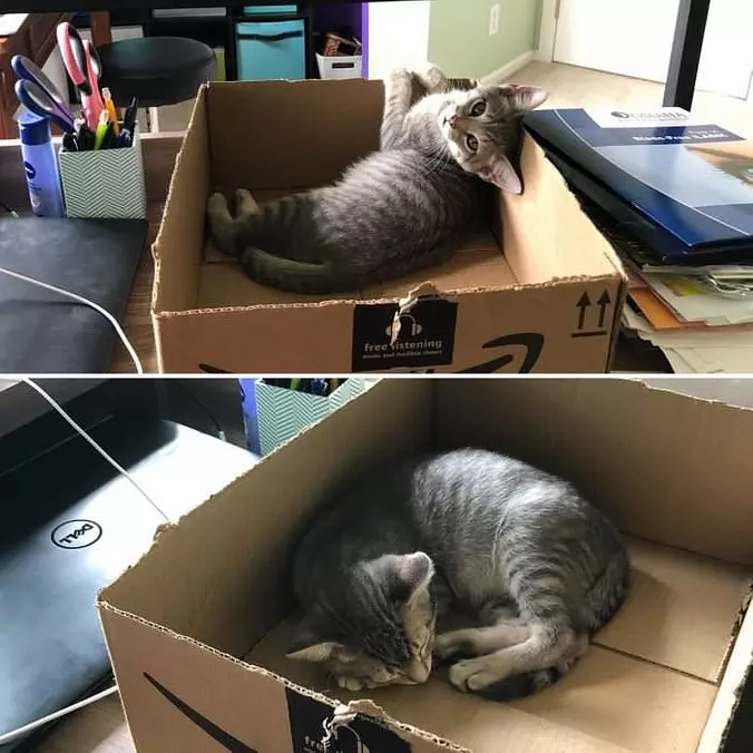 This Box Is Perfect