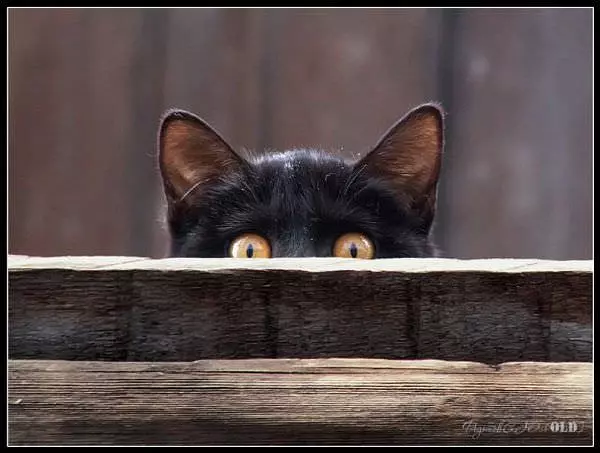 Peaking