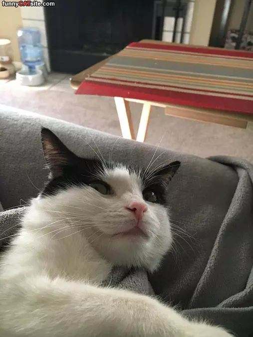 Taking A Selfie
