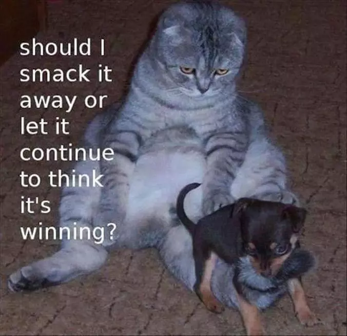 Is It Time To Smack It