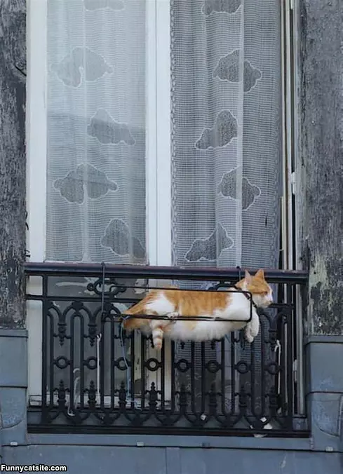 Just Relaxing Here