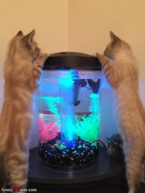 Lets Go Fishing
