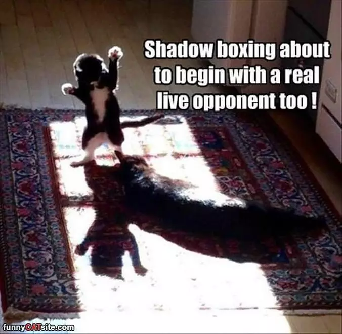 Shadow Boxing