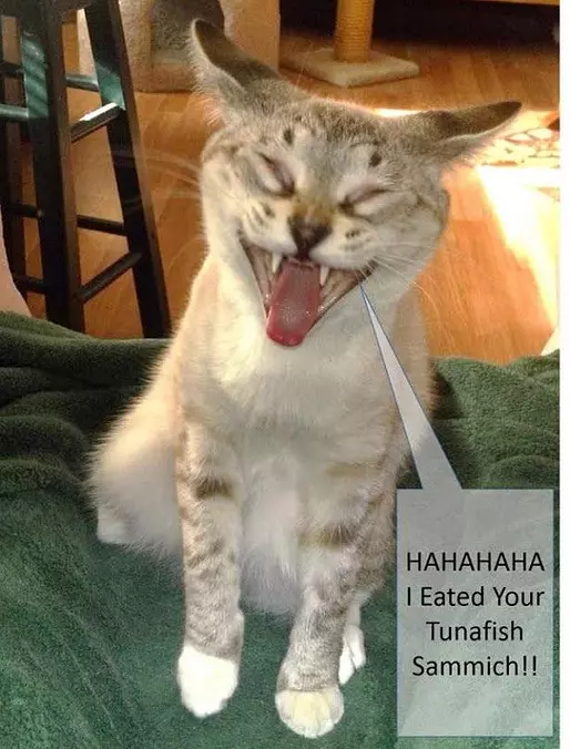 Hahahahaa