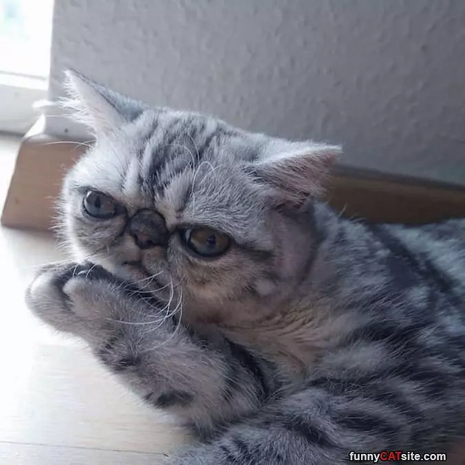 Pondering Some Things