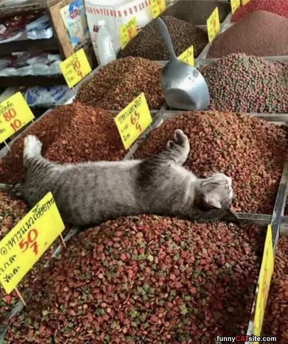 This Is Like Heaven