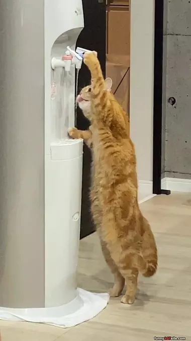I Need Water