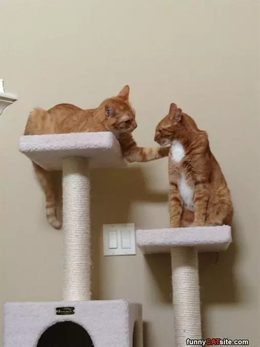 Hey Hey It Will Be Ok