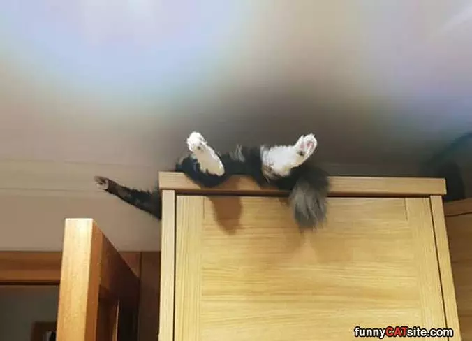 This Is Where I Hang Out