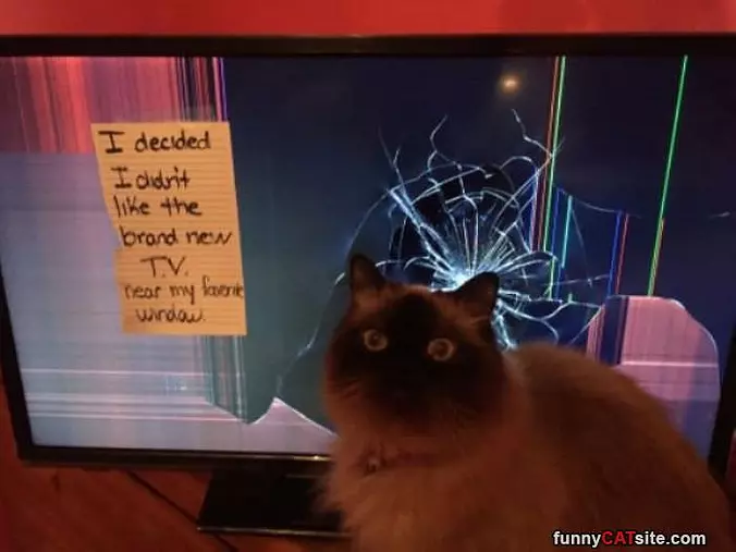 It Wasnt Me