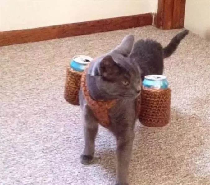 Carrying Some Beers