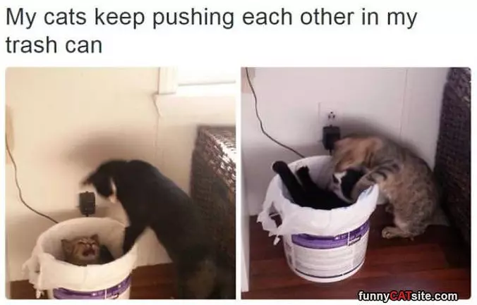 Get In The Trash
