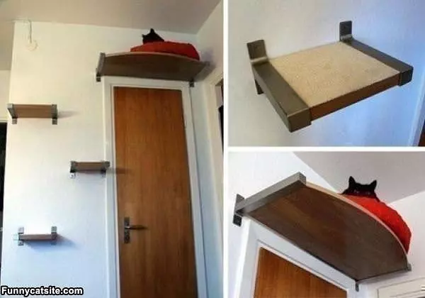 Cool Cat Bed